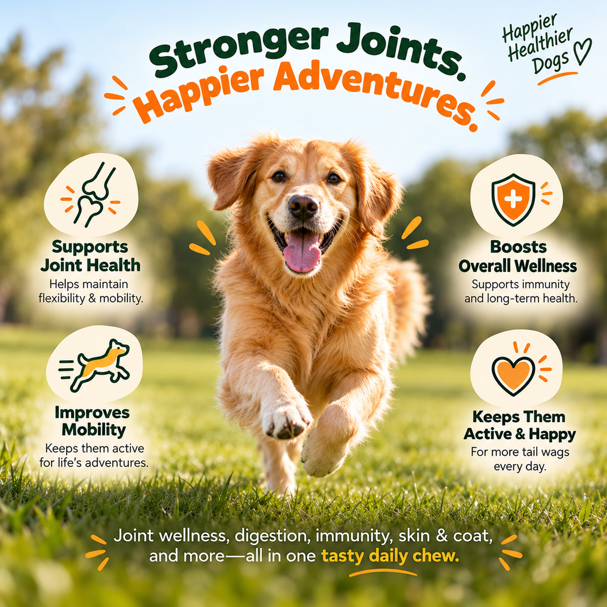 Joint Wellness Chews