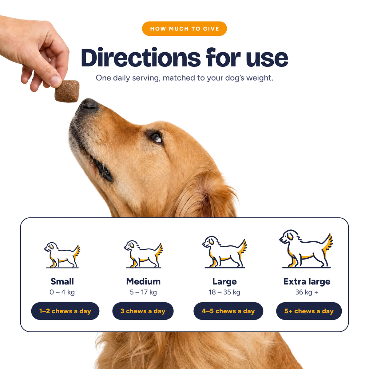 Joint Wellness Chews