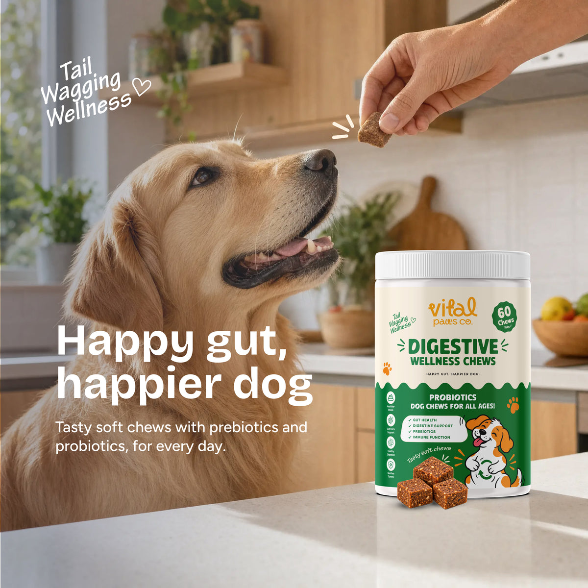 Digestive Wellness Chews