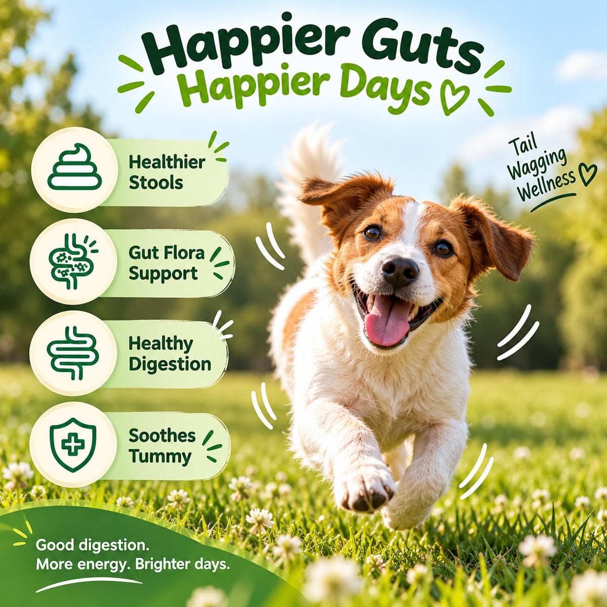 Digestive Wellness Chews