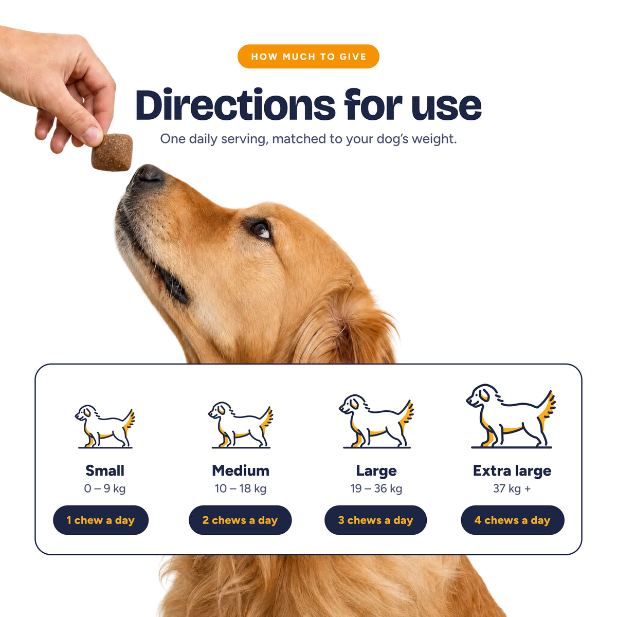 Digestive Wellness Chews