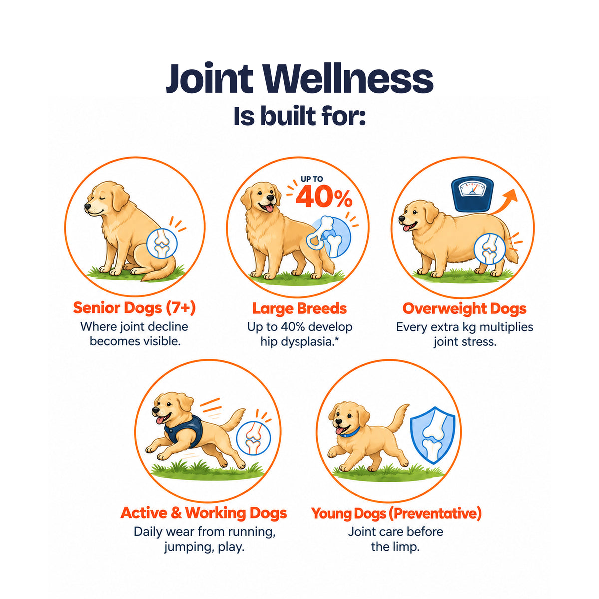 Joint Wellness Chews
