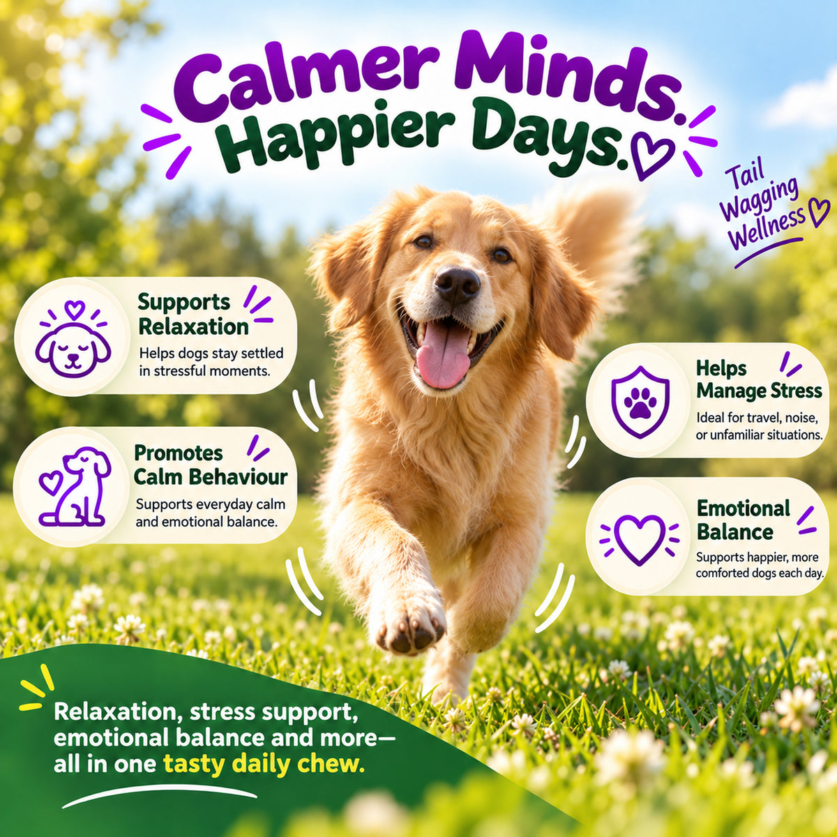 Calming Wellness Chews