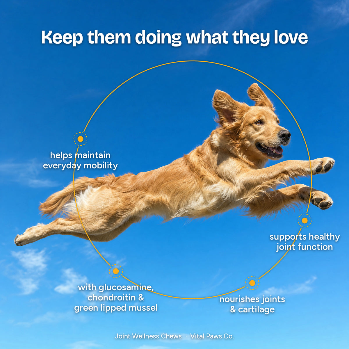 Joint Wellness Chews
