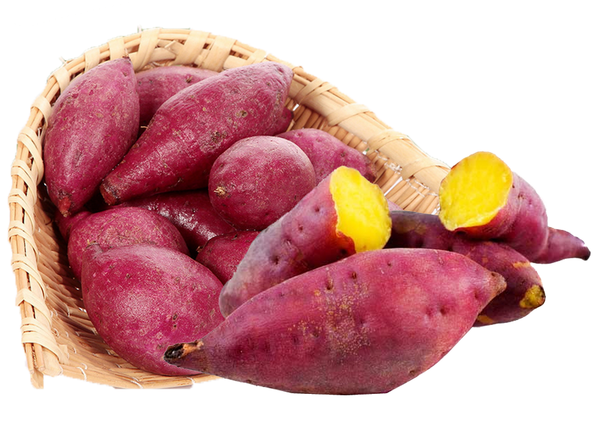 Sweet Potato