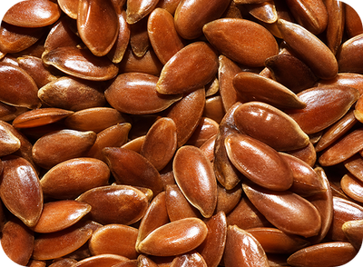 Flax seed