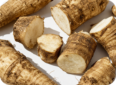 Inulin (prebiotic)