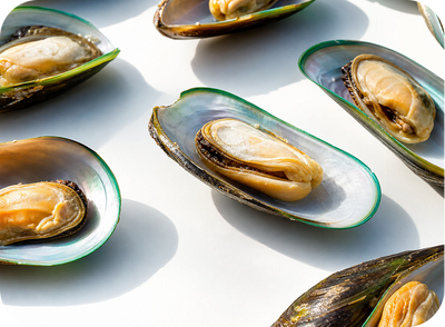Green lipped mussel