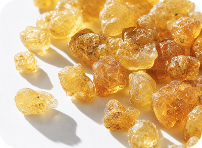 Boswellia serrata