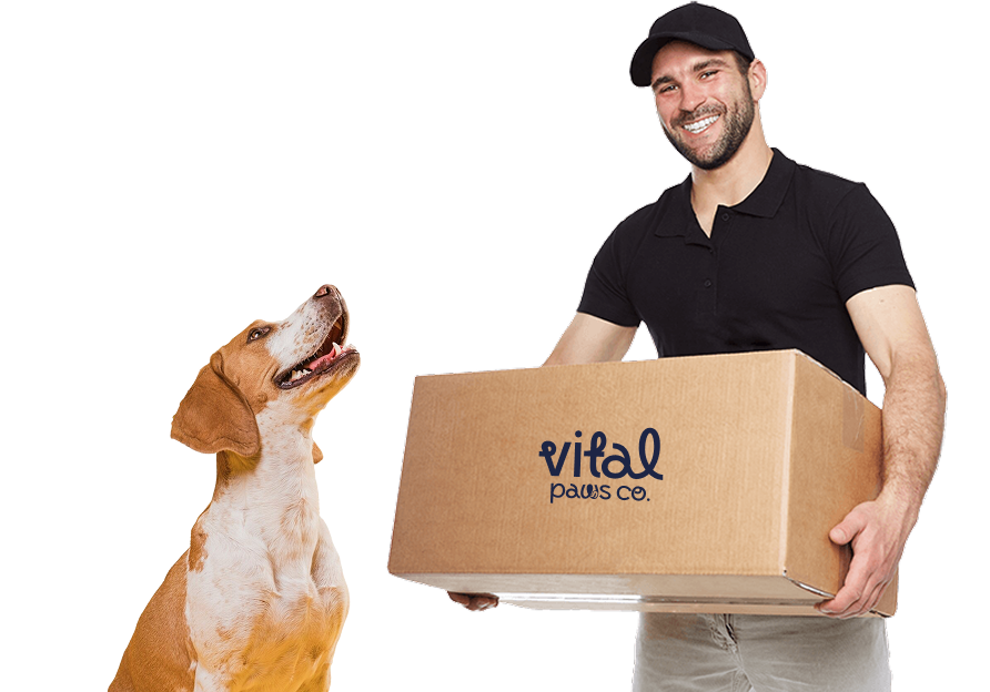 Convenient Delivery